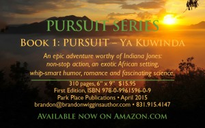 BW-PursuitBookBusCard.indd